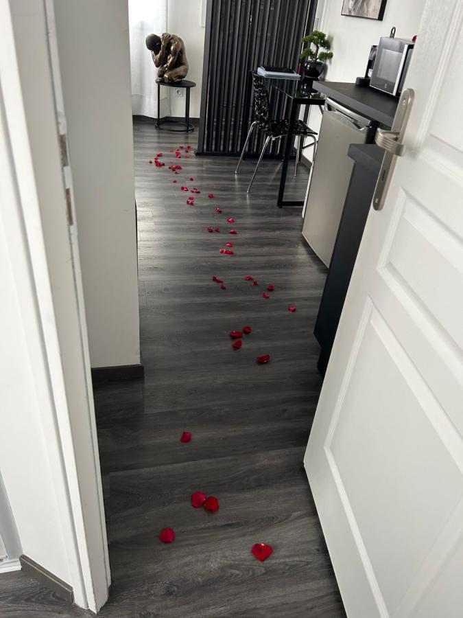 Appart De Luxe Tout Confort Jusqu A 4 Personnes Apartment Triel-sur-Seine Luaran gambar